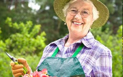 Spring Activities for Seniors in Chattanooga