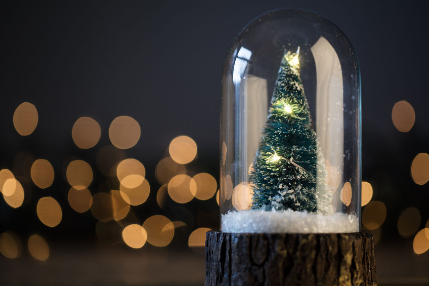 Liven up the holidays at Rosewood assisted living community with this fun DIY project– homemade snow globes!