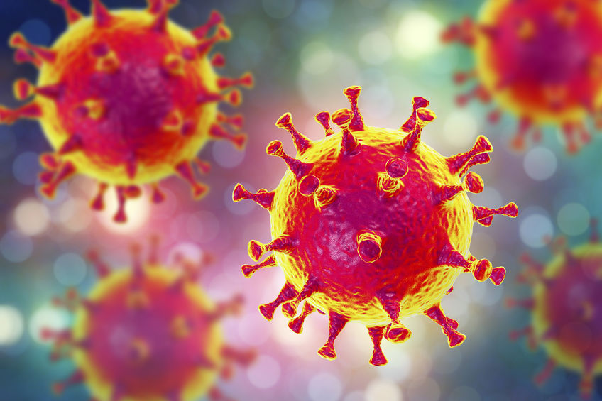 Coronavirus– What You Should Know and How to Prepare