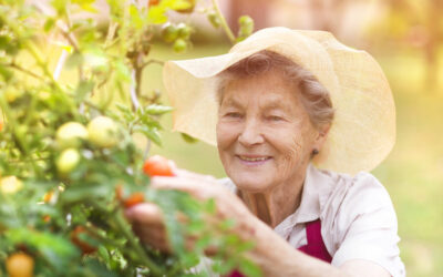 Health Benefits of Gardening for Seniors Rosewood