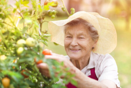 Health Benefits of Gardening for Seniors Rosewood