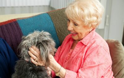 Pet Therapy for Seniors of Chattanooga