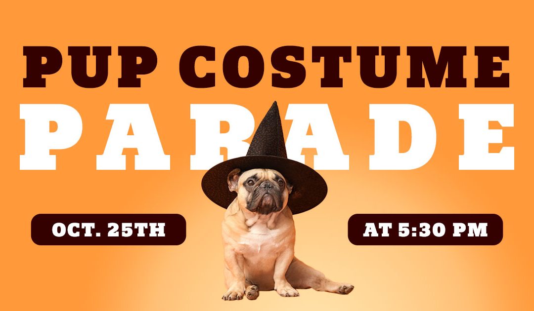 Pup Costume Parade